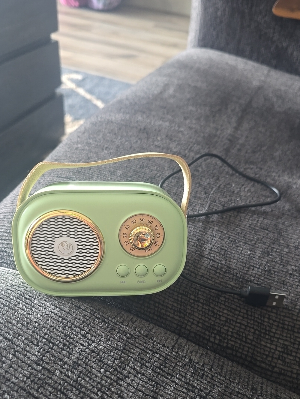 Retro-Style Portable Bluetooth Speaker in Mint Green with Gold Accents